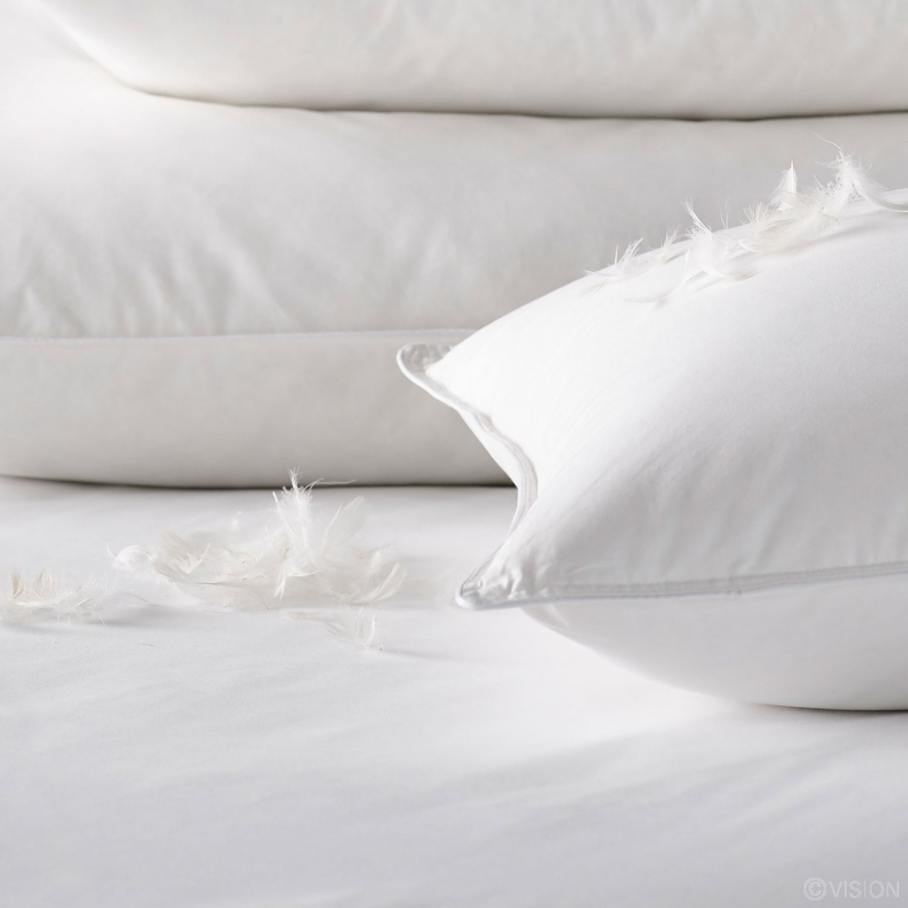 قیمت الیاف بالش