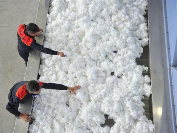 بازار فروش الیاف تیله ای تشک